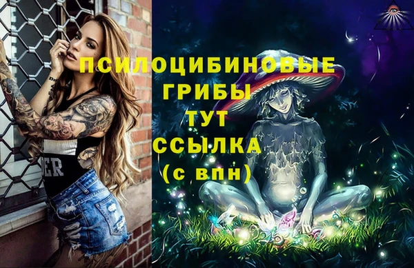 винт Михайлов