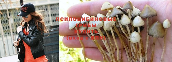 спайс Михайловка
